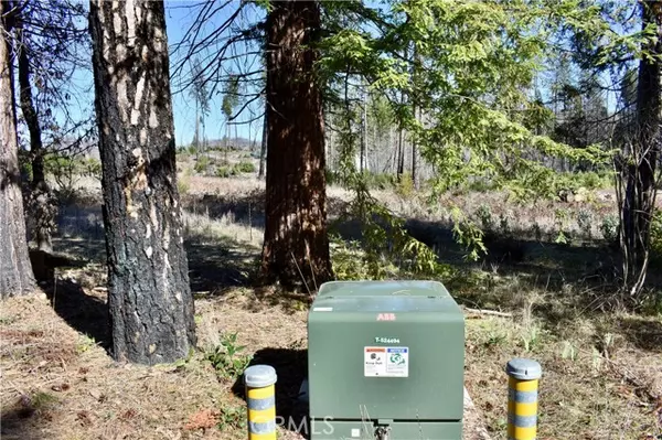 Berry Creek, CA 95916,20 Meadow Lane