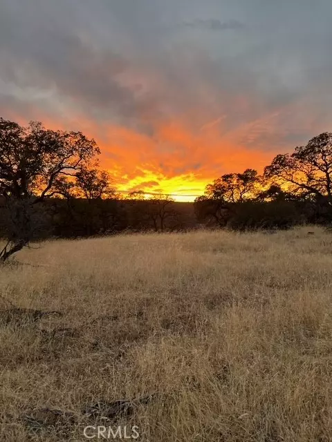 Oroville, CA 95965,1484 Oregon Gulch Road