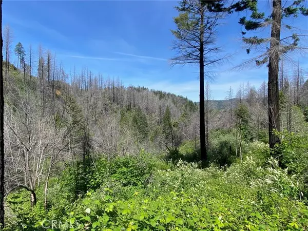 Berry Creek, CA 95916,582 Eden Canyon Road