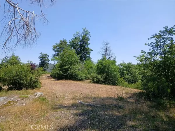 Oroville, CA 95965,13392 Hog Ranch Road