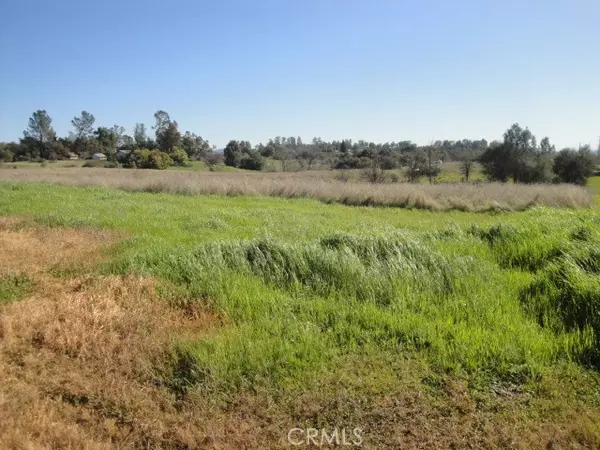 Oroville, CA 95966,129 Misty View Way