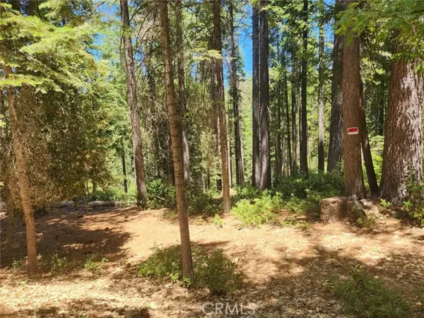 Clipper Mills, CA 95930,6296 Merry Way