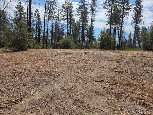 1090 Bald Rock Road, Berry Creek, CA 95916