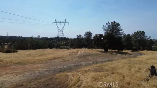 Oroville, CA 95966,0 Olive Highway