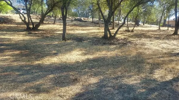 307 Lodgeview Drive, Oroville, CA 95966