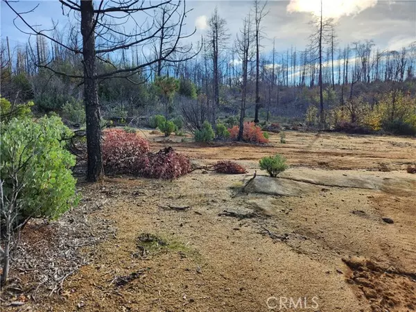 Berry Creek, CA 95916,120 Woodsmoke Way