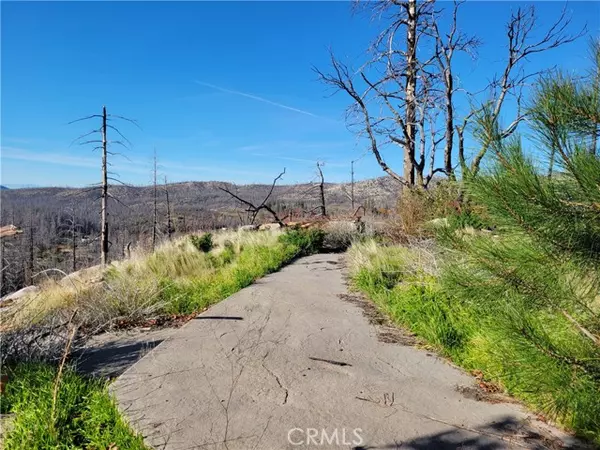 Berry Creek, CA 95916,161 Shadow Creek Road