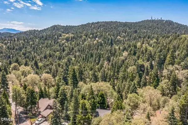 Twin Peaks, CA 92391,352 Cedarbrook Drive
