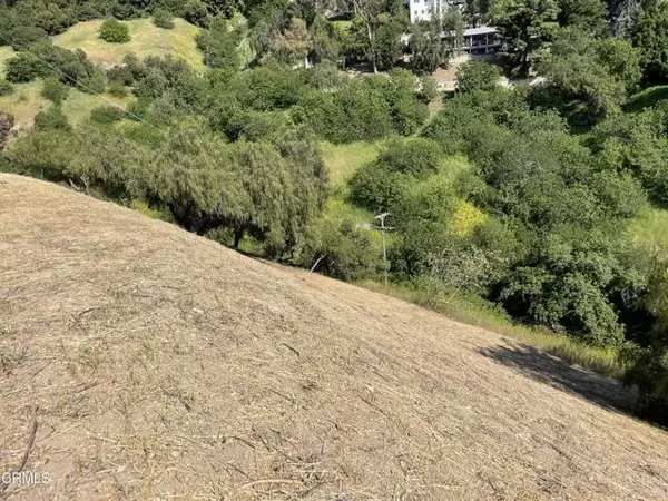 Los Angeles, CA 90065,3612 N Paseo Drive