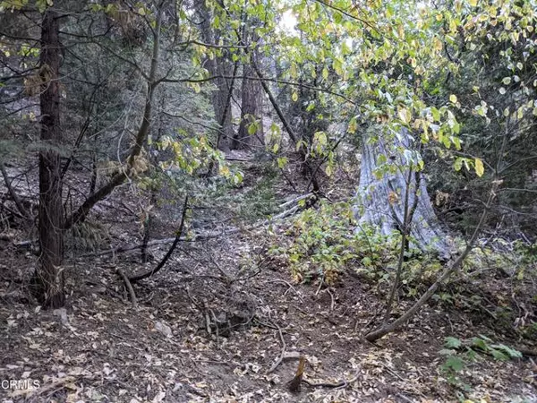 Lake Arrowhead, CA 92352,0 Fleming Creek