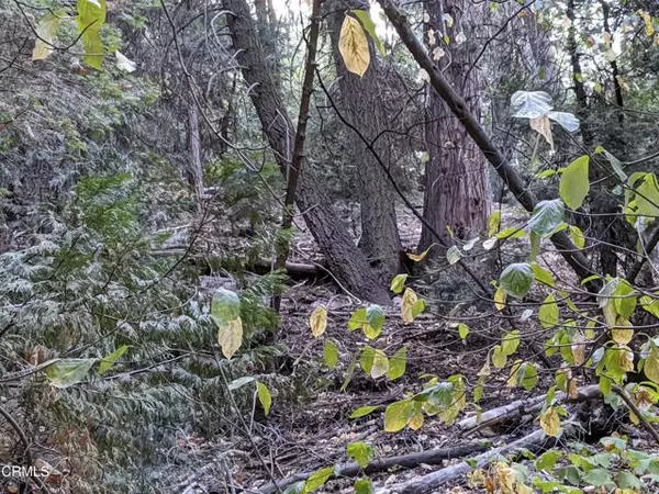 Lake Arrowhead, CA 92352,0 Fleming Creek