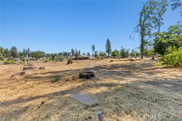 Paradise, CA 95969,1273 Nunneley Road