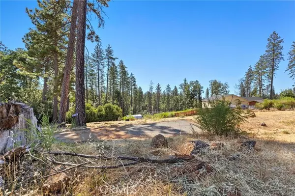 1700 Bandtail Lane, Paradise, CA 95969