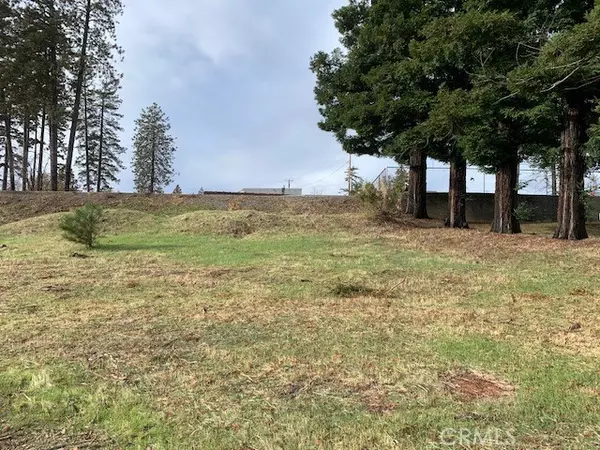 Paradise, CA 95969,0 Skyway