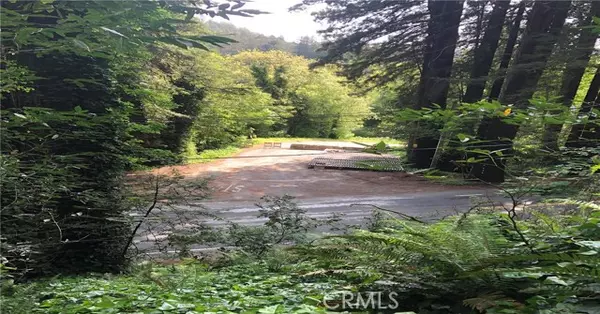 Guerneville, CA 95446,18176 HWY 116