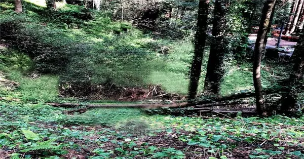 Guerneville, CA 95446,18176 HWY 116