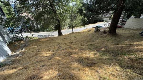 Lakeview Dr, Cedar Glen, CA 92321