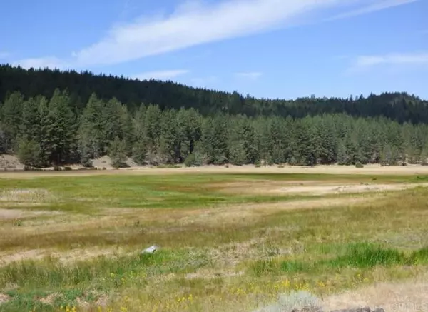 Alturas, CA 96101,0 Lot 13 Drive