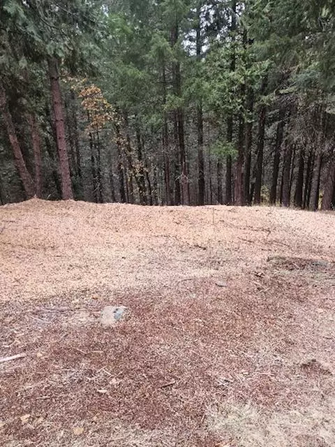 Pollock Pines, CA 95726,4952 Sierra Springs Drive