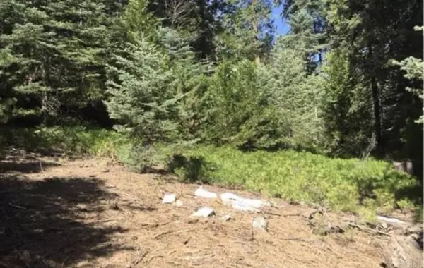 Cedar Glen, CA 92385,Stonehill Drive