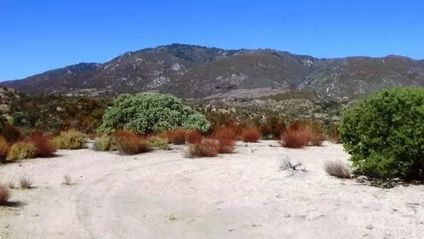 37245 Old Forest Road, Anza, CA 92539