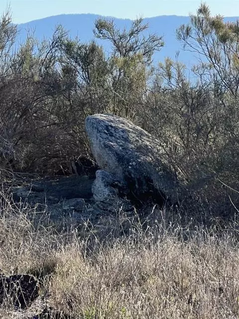 Hemet, CA 92544,1 Overton