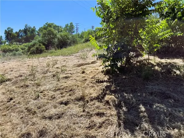 Malibu, CA 90265,0 Latigo Canyon Rd