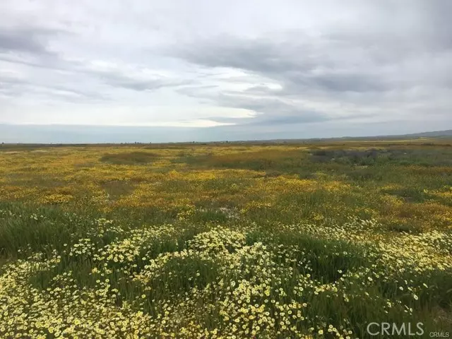 California Valley, CA 93453,0 Buffalo - B