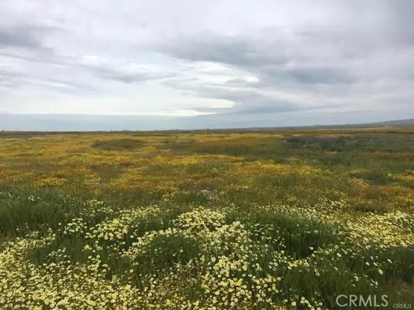 0 Buffalo - B, California Valley, CA 93453