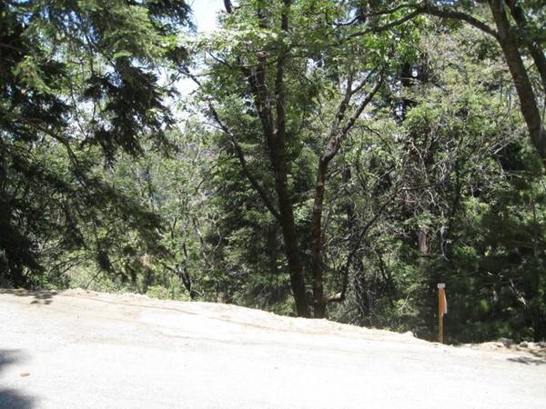 0 Forest Lane, Twin Peaks, CA 92391