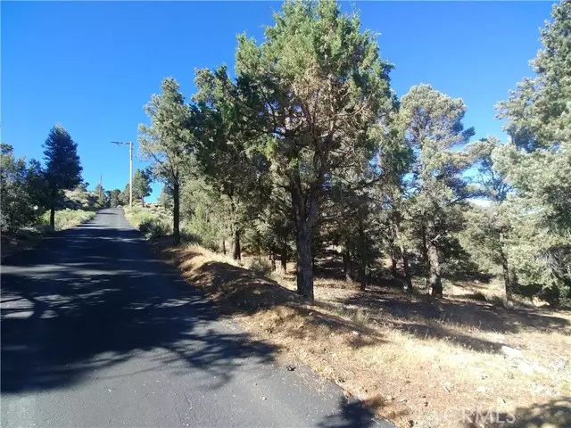 Big Bear City, CA 92314,0 Avenue D