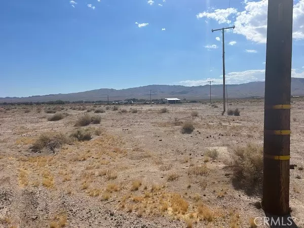 Newberry Springs, CA 92365,0 Horner