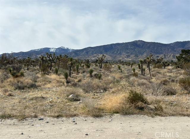 0 Mono Road, Pinon Hills, CA 92372