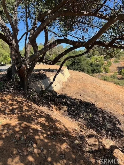 Redlands, CA 92373,0 W Sunset Drive