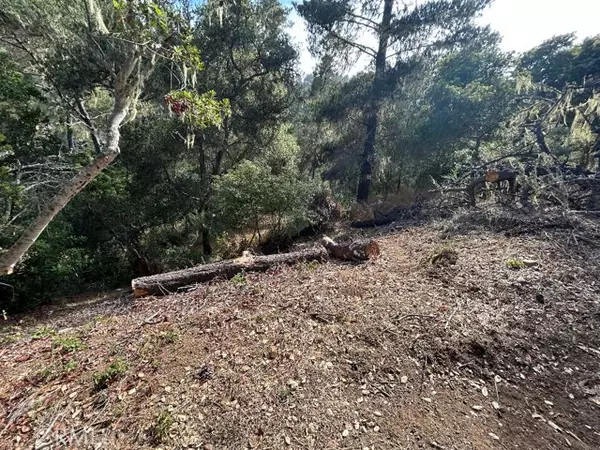 Cambria, CA 93428,2977 Ramsey Street