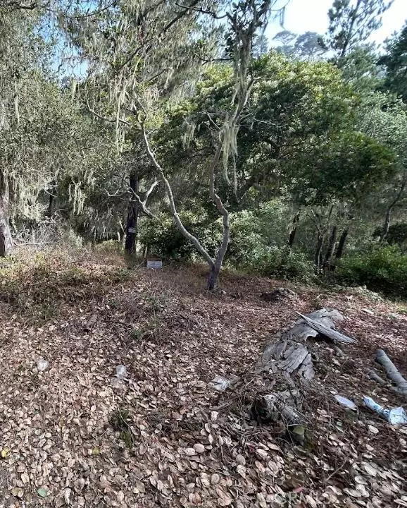 Cambria, CA 93428,2812 Ramsey Road