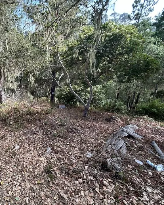 Cambria, CA 93428,2812 Ramsey Road