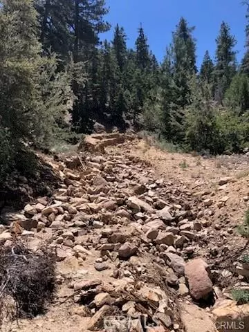 Angelus Oaks, CA 92305,0 Rainbow Lane