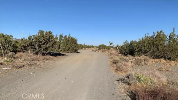 Pinon Hills, CA 92372,0 Yucca Terrace