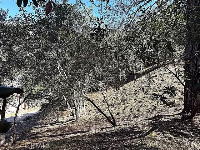 0 High Cliff Trail, Tujunga (los Angeles), CA 91042