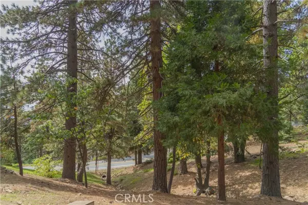 0 Circle View Drive, Running Springs, CA 92382