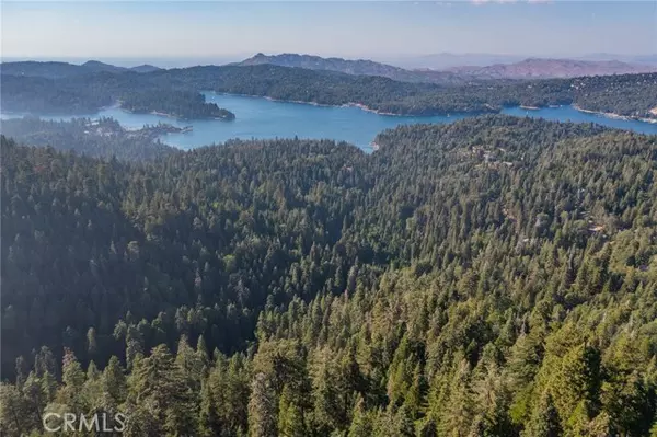 Lake Arrowhead, CA 92385,716 Blue Ridge Drive