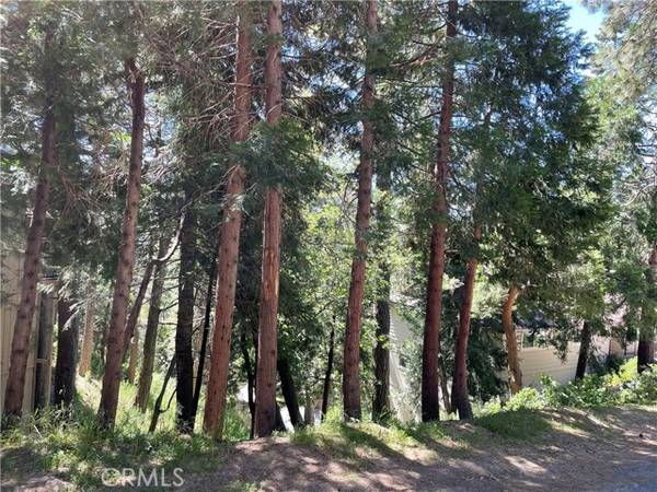 0 W Victoria Court, Lake Arrowhead, CA 92352