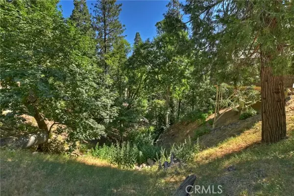 Crestline, CA 92325,0 Nesthorn Drive