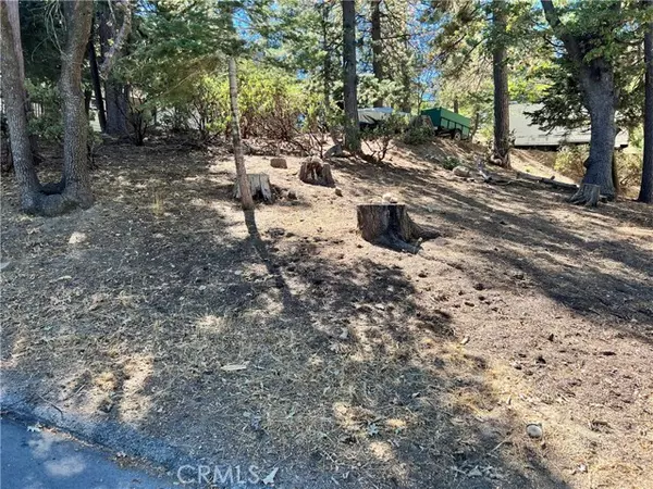 Lake Arrowhead, CA 92352,0 Auburn Drive