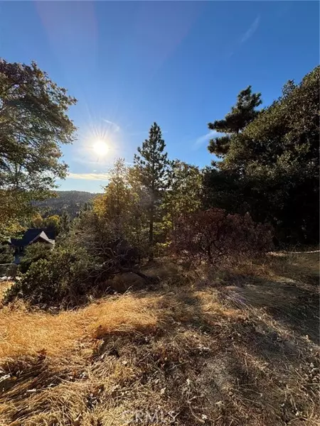 0 Grass Valley Road, Lake Arrowhead, CA 92352