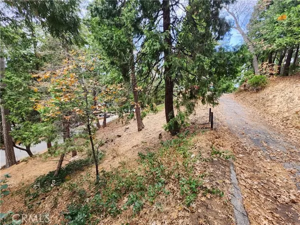 Crestline, CA 92325,0 Horst Drive