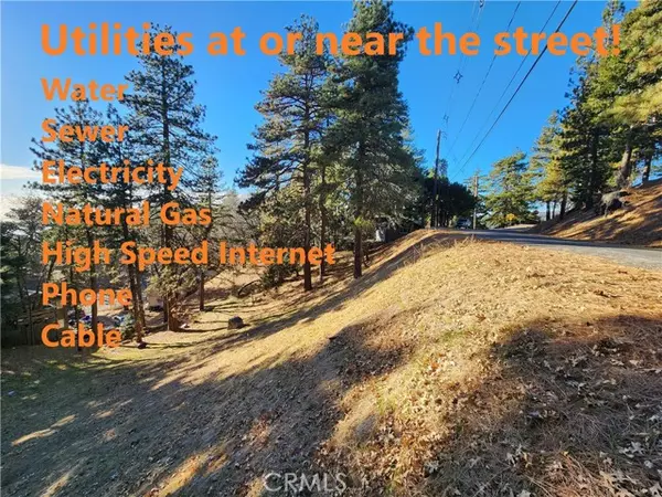 Running Springs, CA 92382,30696 Ferndale Drive
