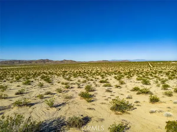 Joshua Tree, CA 92252,1962 Bourland Pass Road