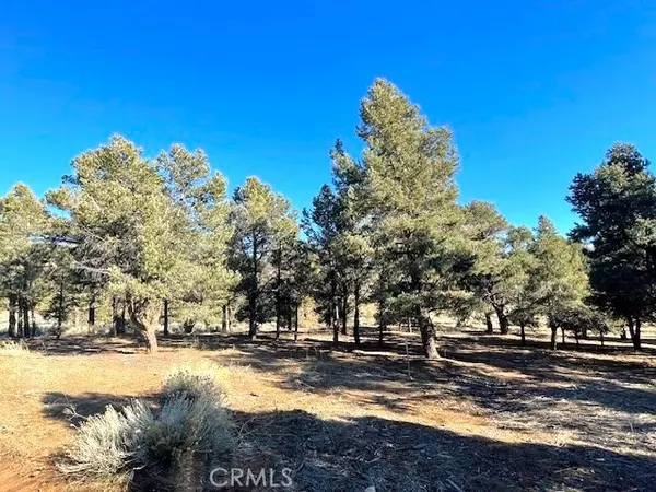 0 Falling Springs Road, Other - See Remarks, CA 92314